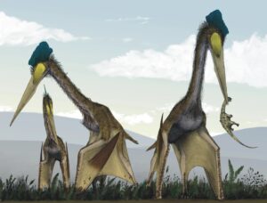 Quetzelcoatlus